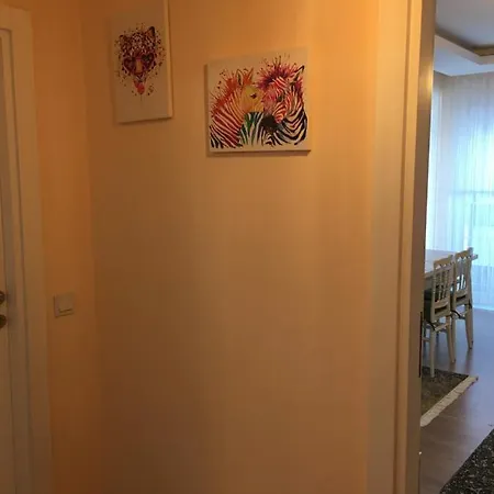 Apartment Pay Pay Apart